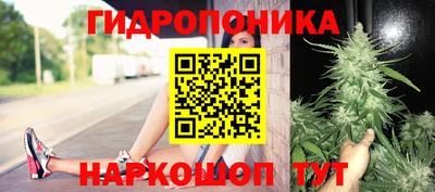 PSILOCYBIN Изобильный