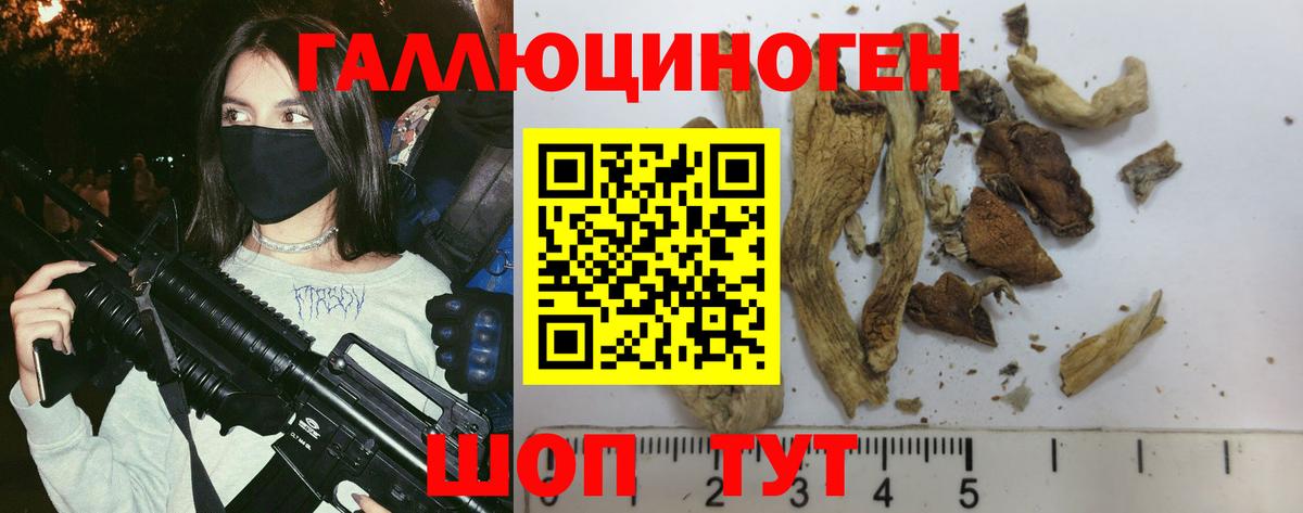 Псилоцибиновые грибы Psilocybine cubensis Красноуфимск